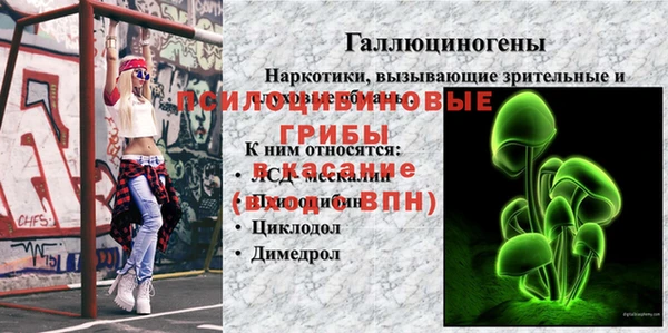 СК Кукмор