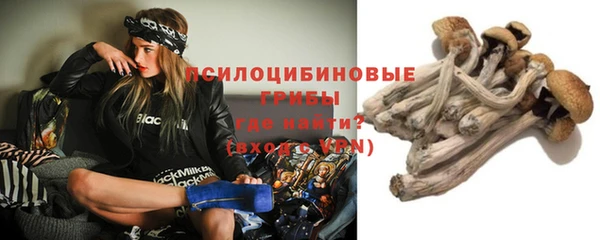 СК Кукмор