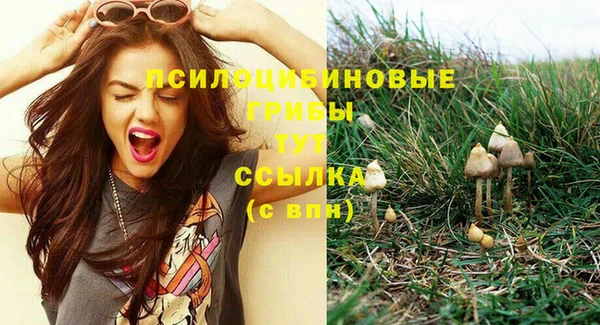 СК Кукмор