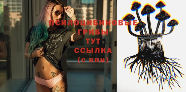 spice Куйбышев