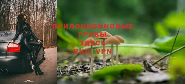 spice Куйбышев
