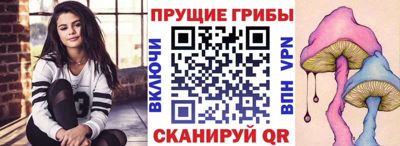 Галлюциногенные грибы мицелий  что такое наркотик  Мостовской 